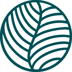 Individual Therapy3