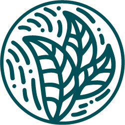 Mindfulness Psychotherapy Intensives